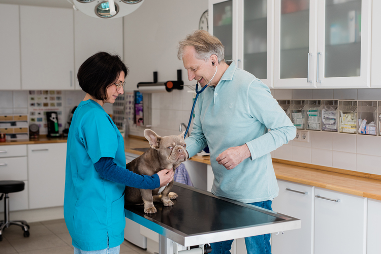 Tierarztpraxis Dr. Ebermann - unsere Vision